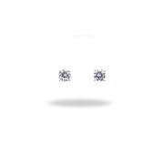 Broquel Minimal Brilliance – Plata 925 con rodio